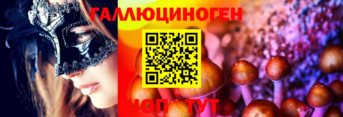 Кызыл  Галлюциногенные грибы Psilocybe  Вход с VPN  Псилоцибиновые грибы Cubensis 